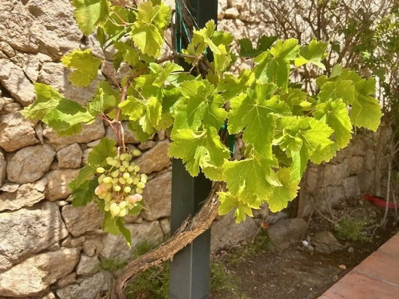 Casa Marlotte Villa Torrox